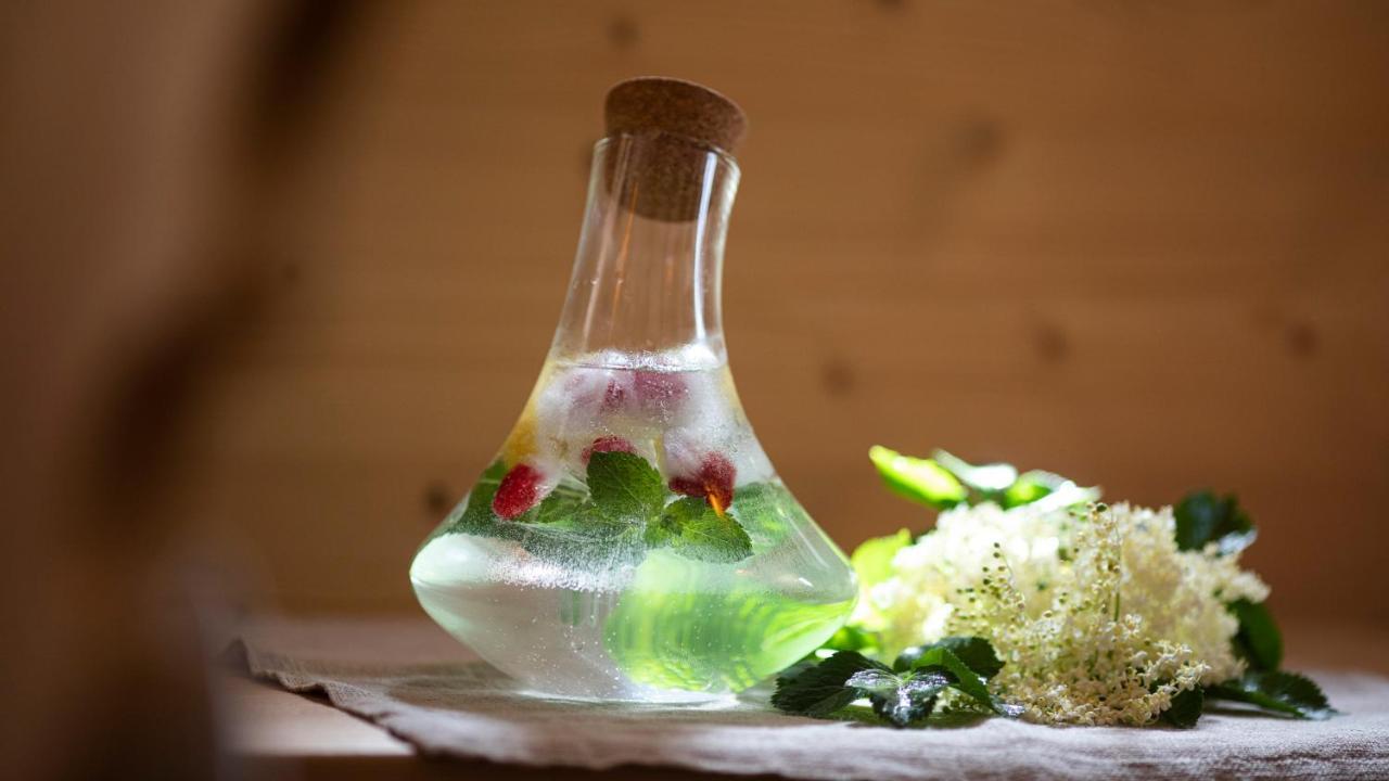 Natura Boutique Chalet Wellness Spa ドッビアーコ エクステリア 写真